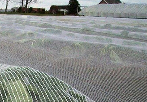 UV treated Leno Knitted HDPE anti hail net orchard hail protection net