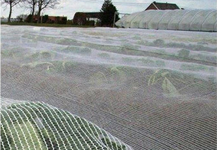 UV treated Leno Knitted HDPE anti hail net orchard hail protection net