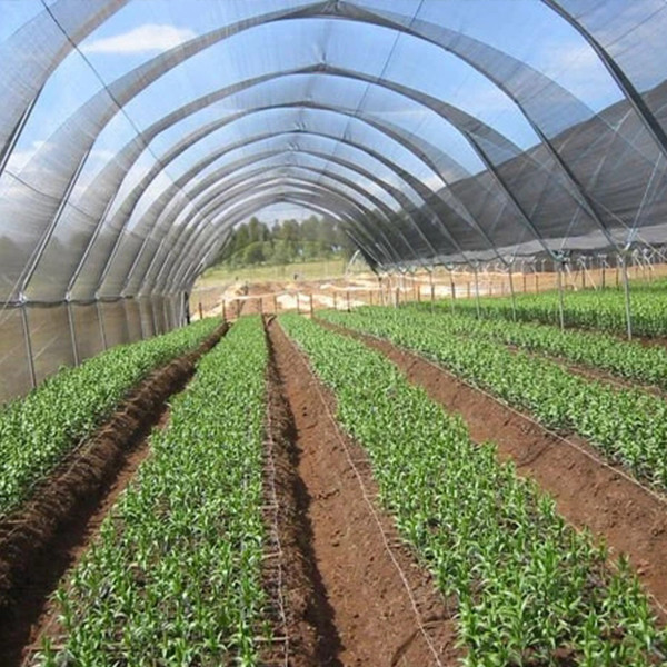 Agriculture